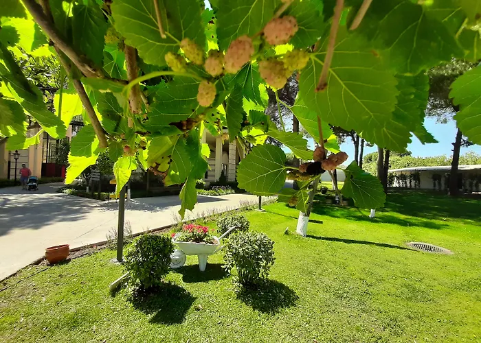 Tth Imperial Hotel 5*