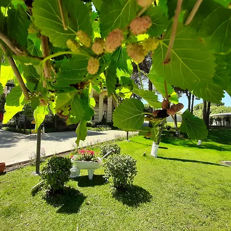 Tth Imperial Hotel 5*