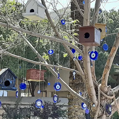 Tth Imperial Hotel 5*