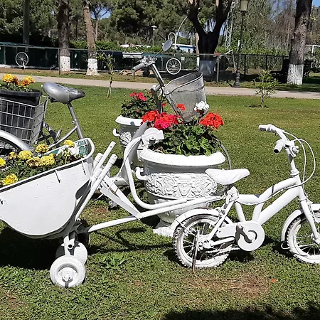 Tth Imperial 5* Μπέλεκ